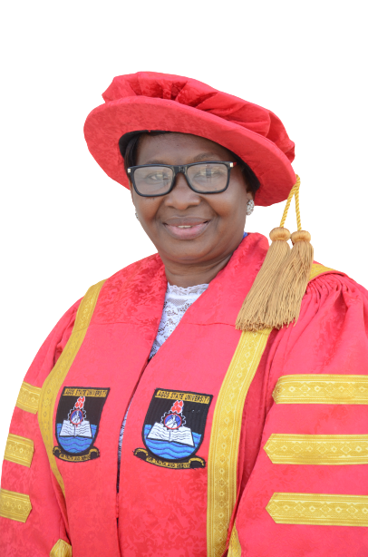 Deputy Vice Chancellor (Administration)